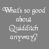 quidditch