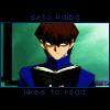 setokaibalikestoread 