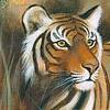 tigerpainted 
