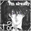 imalreadytorn 