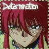 determination 