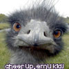 emukid 