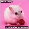 raspberry 