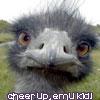 emukid 