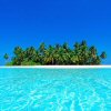 ariatoll 