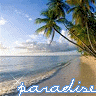 thparadice 