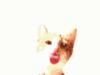 1132551621catlick 
