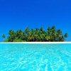 ariatoll 