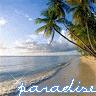 thparadice 